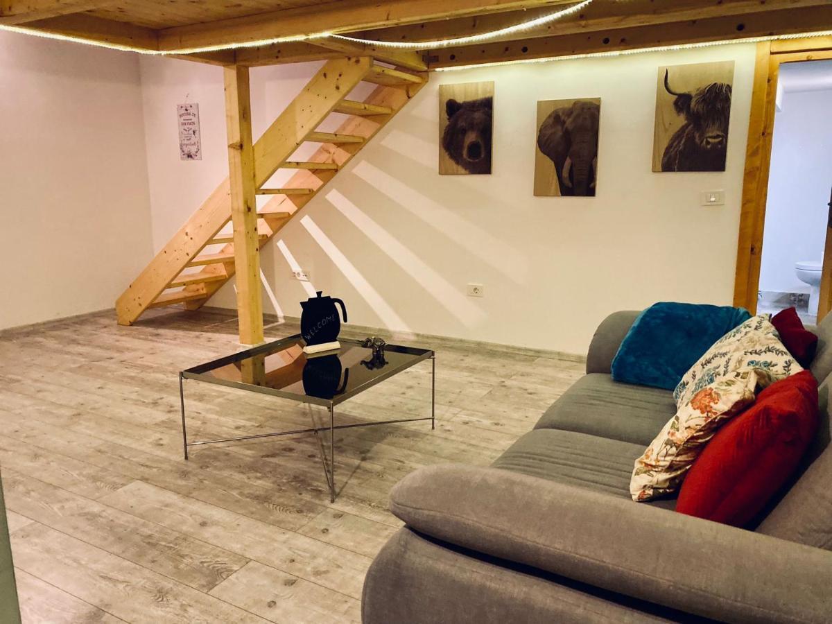 Central Cluj Loft公寓 外观 照片